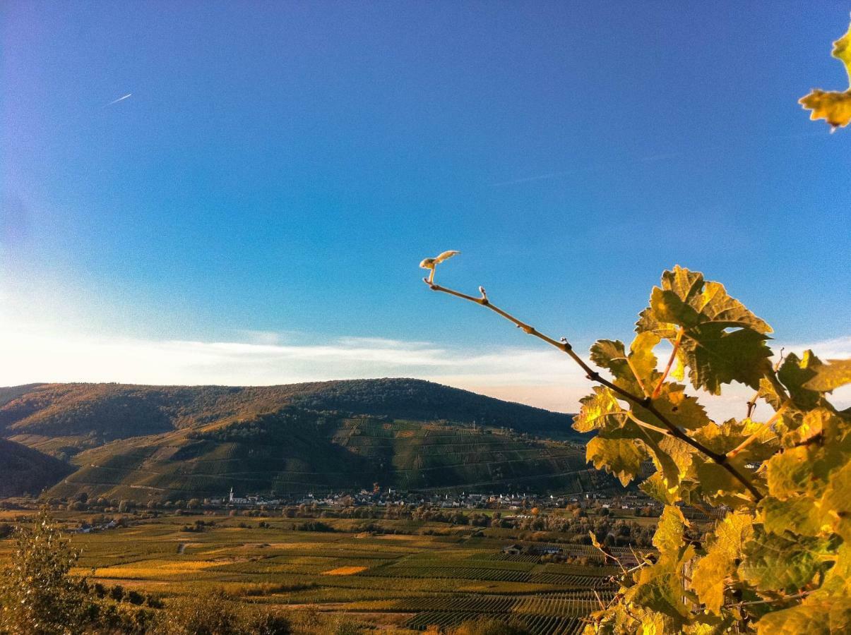 Gaestehaus Weingut Meierer 케스텐 외부 사진