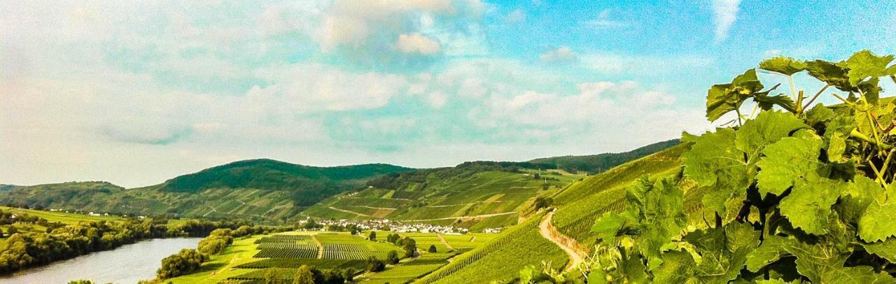 Gaestehaus Weingut Meierer 케스텐 외부 사진